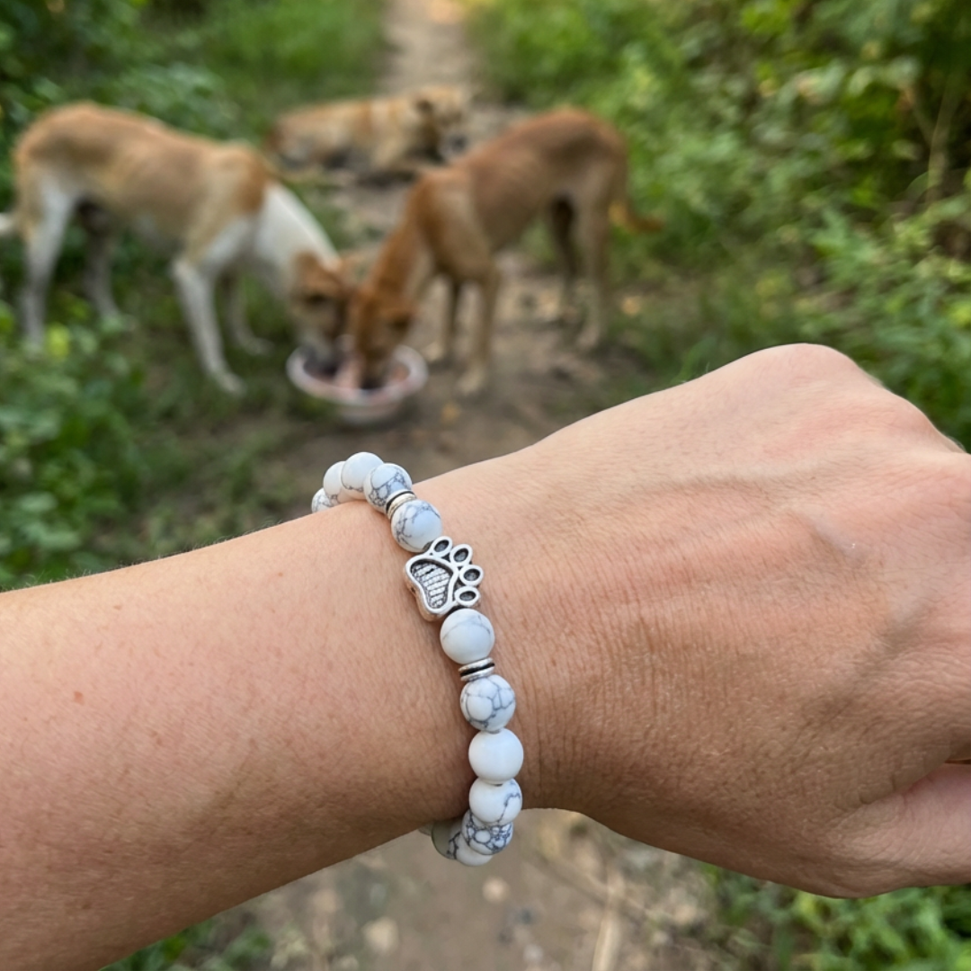 https://cdn.shopify.com/s/files/1/0707/4729/1708/files/123.png_5.png?v=1773735971