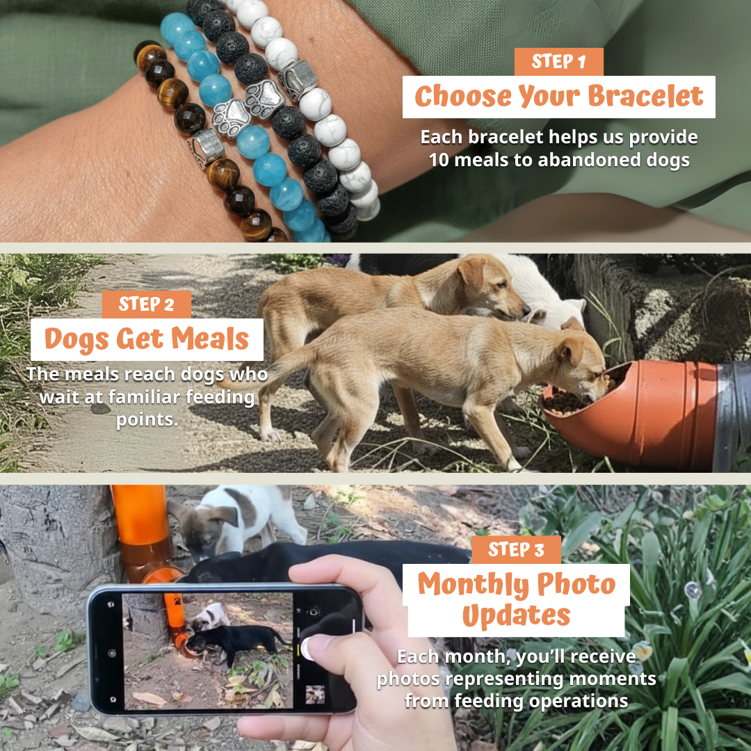 https://cdn.shopify.com/s/files/1/0707/4729/1708/files/IMG_BraceletProduct_Steps_02921d3c-333a-4e1f-a89d-2a689e7c51ac.png?v=1773735949